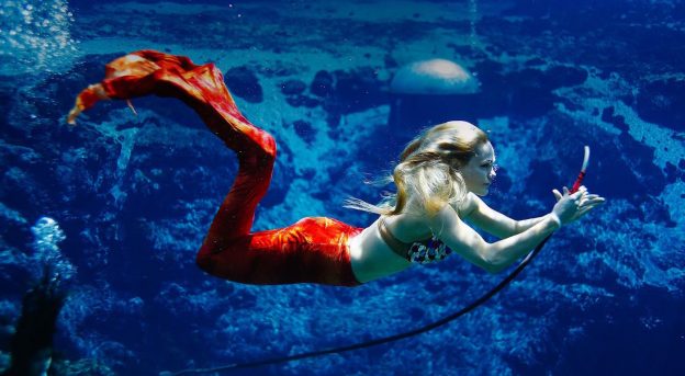 mermaid performing in show