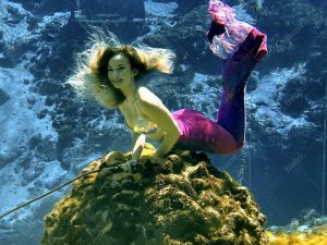 Weeki Wachee Mermaids