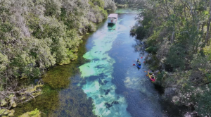 Weeki Wachee Springs