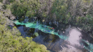 Group Canoeing Trip