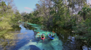 Weeki Wachee Springs Kayaking