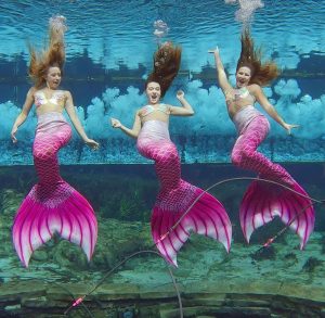 Weeki Wachee Springs Mermaids