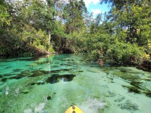 Off season paddling at Weeki Wachee