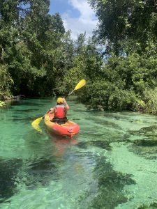 Turkey Paddle in November