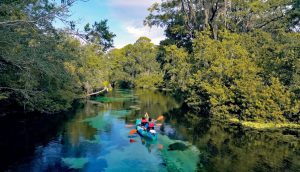 Weeki Wachee Paddling