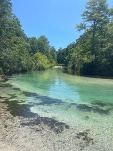 Off season at Weeki Wachee Park