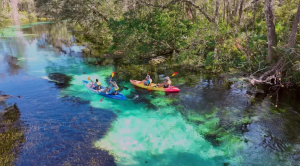 Winter at Weeki Wachee Park