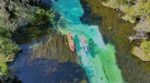Activities at Weeki Wachee in Florida