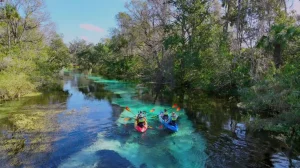 Things to do near Tampa or near Orlando