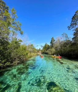 Family kayaking near Tampa
