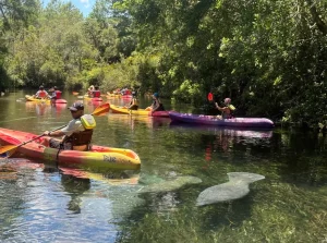 Spring Break at Weeki Wachee
