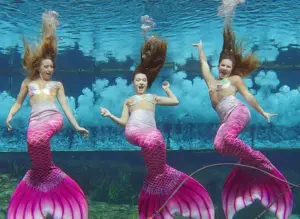 affordable Florida attractions near Tampa