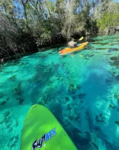 things to do in Hernando County FL