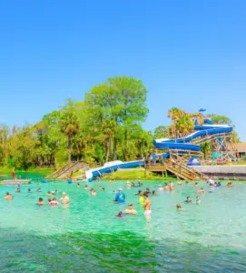 Buccaneer Bay Weeki Wachee waterpark