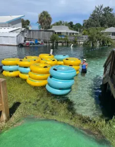 tubing Weeki Wachee River summer